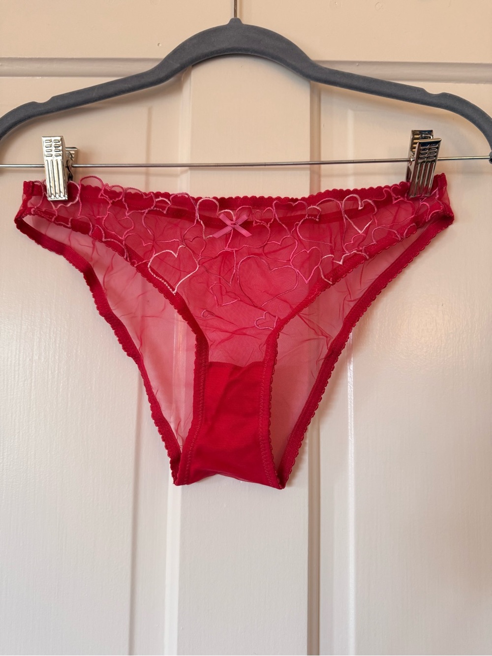 Skims Sheer Heart-Embroidered Bikini Panty